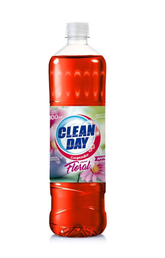 Imagen de LIMPIADOR CLEAN DAY FLORAL 900 ML (15 UNI)