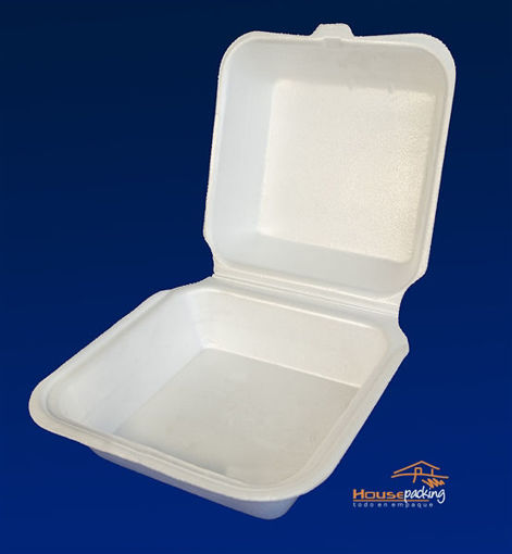 Imagen de BANDEJA BX L1 10 UNIDADES (200 UNI)