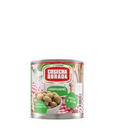 Imagen de CHAMPIGNON ENTERO COSECHA DORADA 184 GR (24 UNI)
